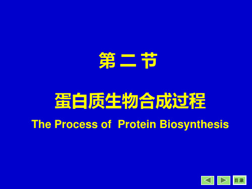 《生物化学》教学课件：蛋白质生物合成过程 (2)