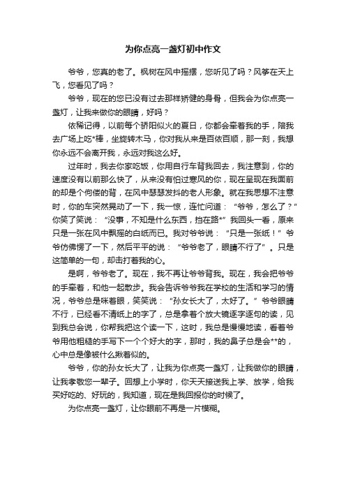 为你点亮一盏灯初中作文