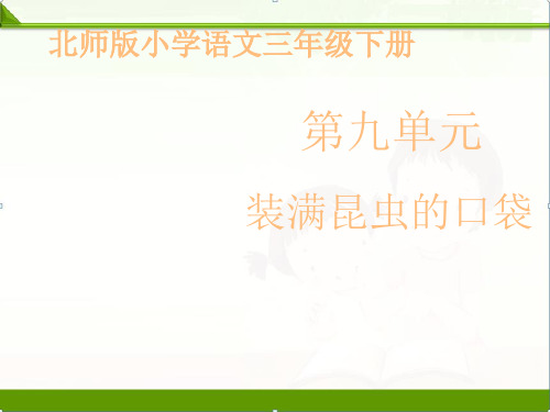 推荐《装满昆虫的口袋》课件——第一课时