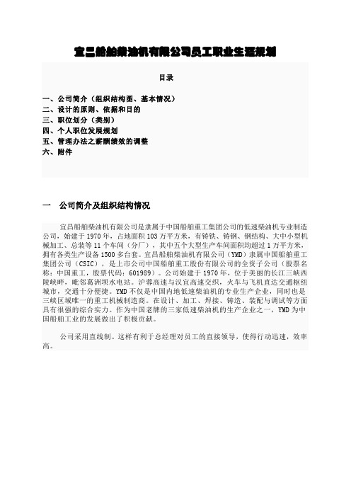 某公司职业生涯发展规划