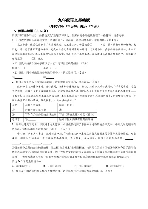 河南省开封市通许县2024-2025学年九年级上学期期中语文试题(含答案)