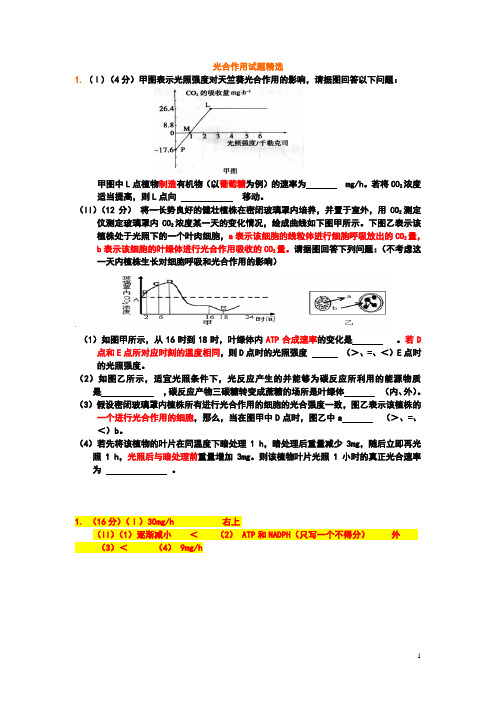 生物必修一光合作用试题精选(附答案)