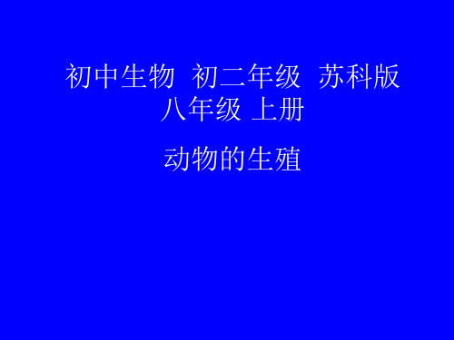 苏科版生物八年级上册 7.20.1 动物的生殖 课件 (1)