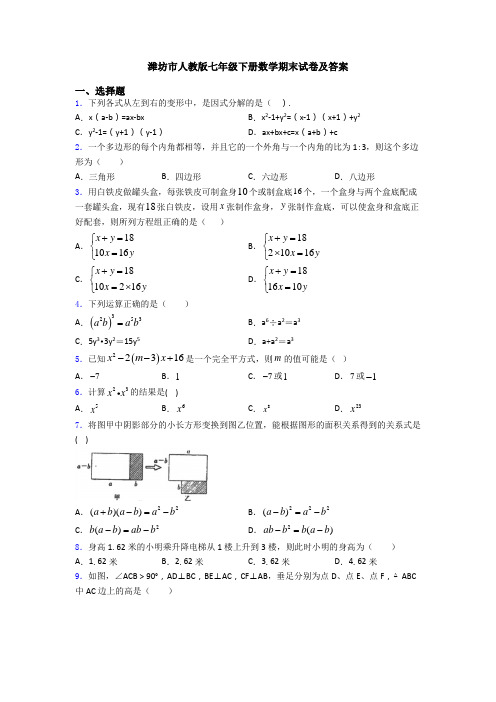 潍坊市人教版七年级下册数学期末试卷及答案