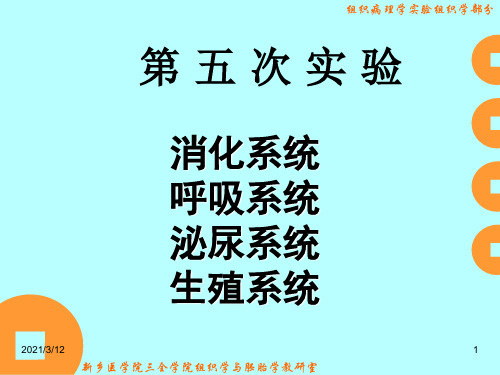 实验五-消化系统、呼吸系统、泌尿系统和生殖系统(组病)PPT课件