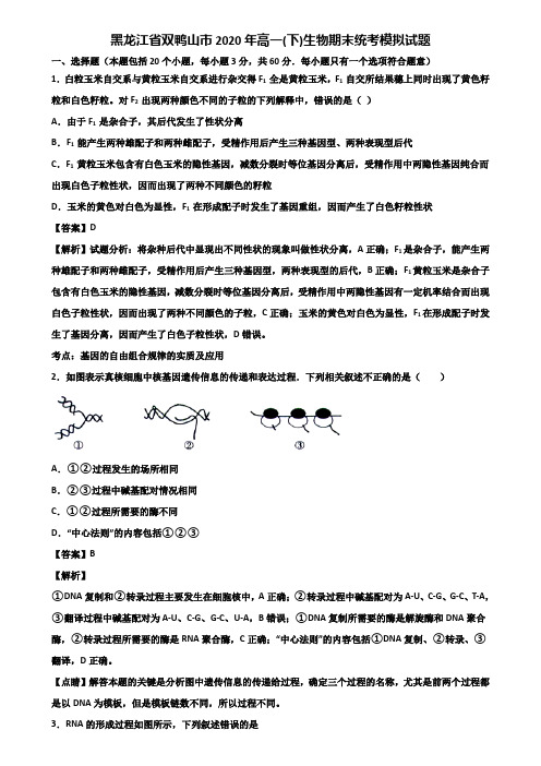 黑龙江省双鸭山市2020年高一(下)生物期末统考模拟试题含解析