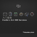 BlackBerry Bold 9000 Smartphone 说明书