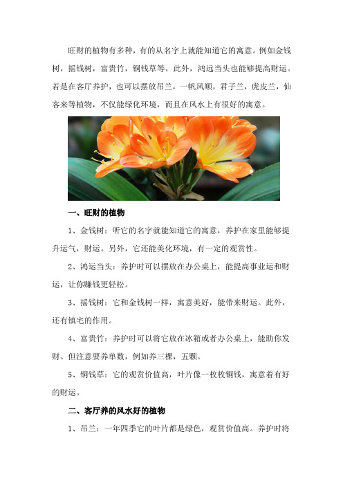 种什么植物旺财,客厅养什么植物风水好