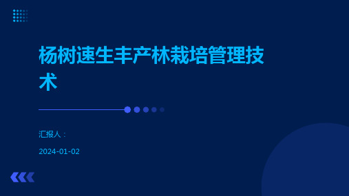 杨树速生丰产林栽培管理技术