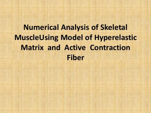 骨骼肌有限元分析英文版