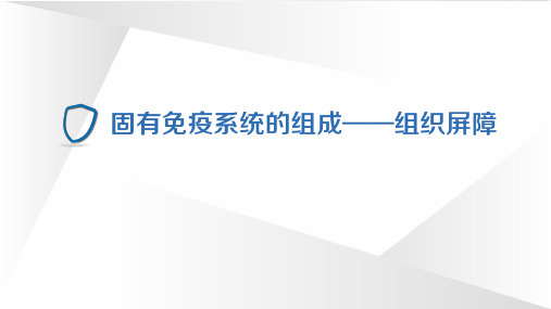 4.2.1 固有免疫系统的组成