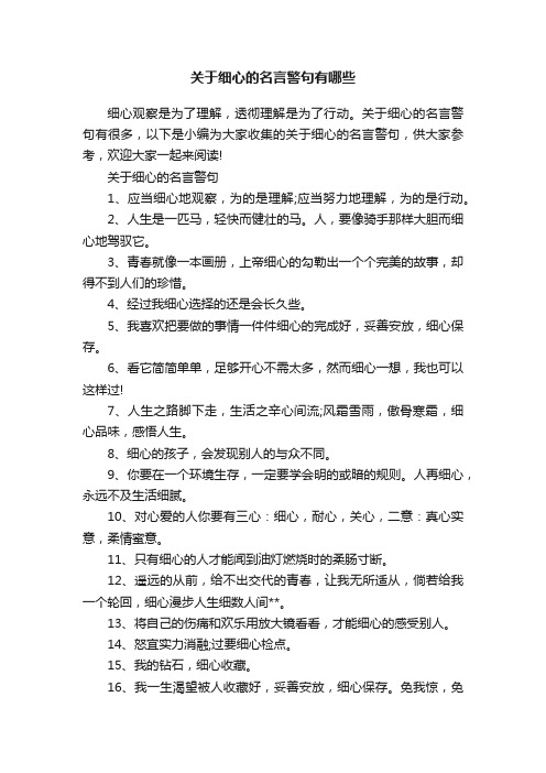 关于细心的名言警句有哪些