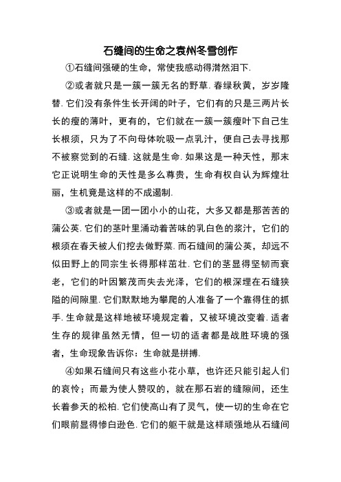 《石缝间的生命》阅读答案