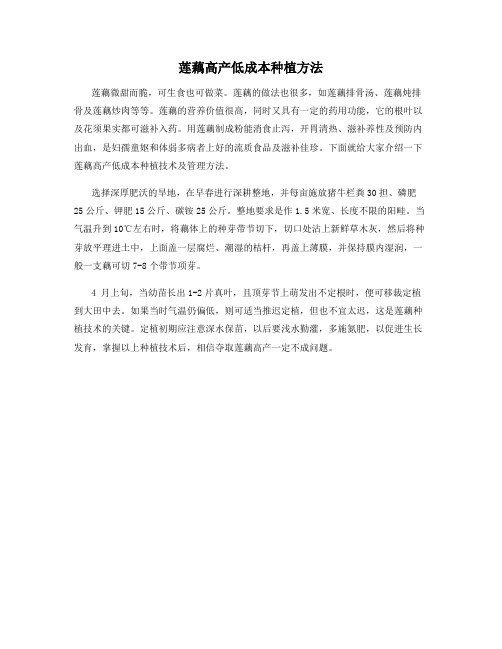莲藕高产低成本种植方法