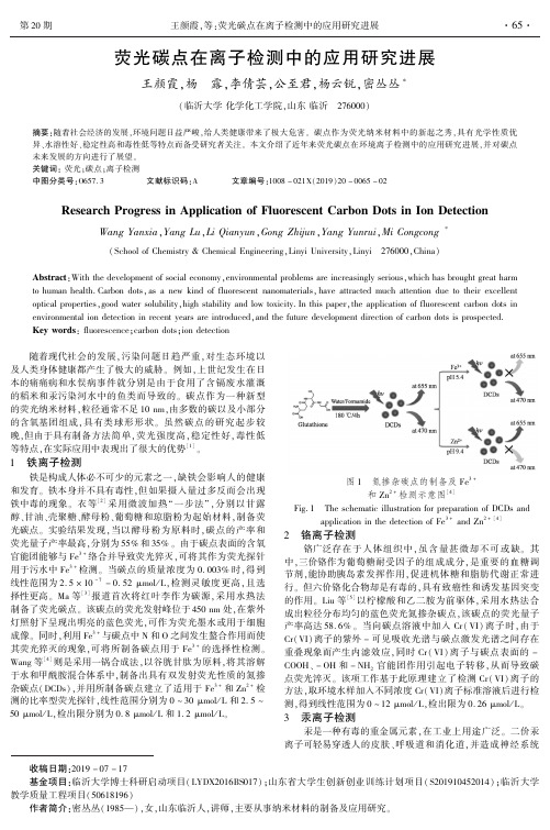 荧光碳点在离子检测中的应用研究进展