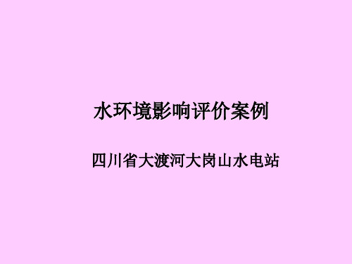 水环境影响评价案例