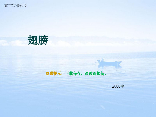 高三写景作文《翅膀》2000字