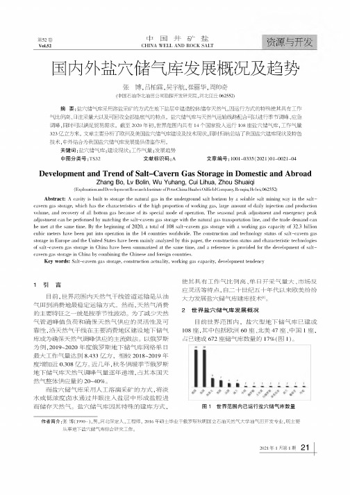 国内外盐穴储气库发展概况及趋势