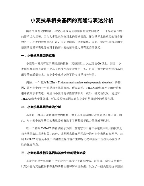 小麦抗旱相关基因的克隆与表达分析