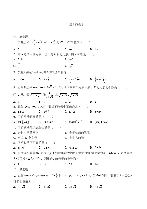 高中数学必修一人教A版1.1 集合的概念练习(含解析)(21)