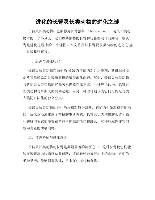 进化的长臂灵长类动物的进化之谜