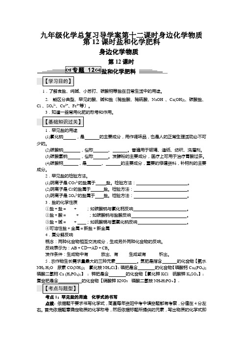 九年级化学总复习导学案第十二课时身边化学物质第12课时盐和化学肥料