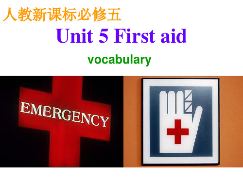 新课标人教版必修五Book5 Unit5 Vocabulary