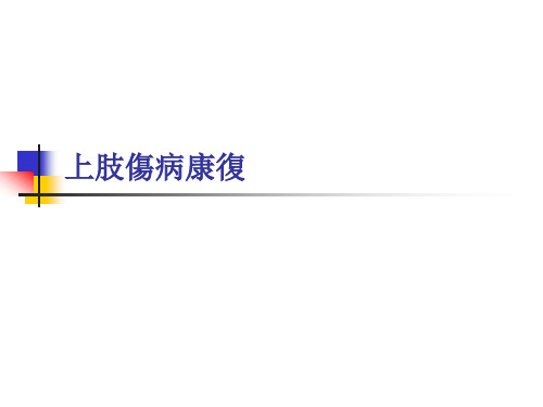 上肢伤病康复 PPT课件