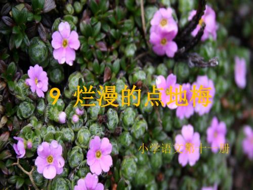 新建 Microsoft Office PowerPoint 演示文稿 共45页