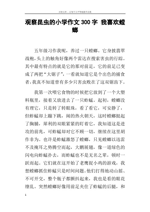 观察昆虫的小学作文300字我喜欢螳螂