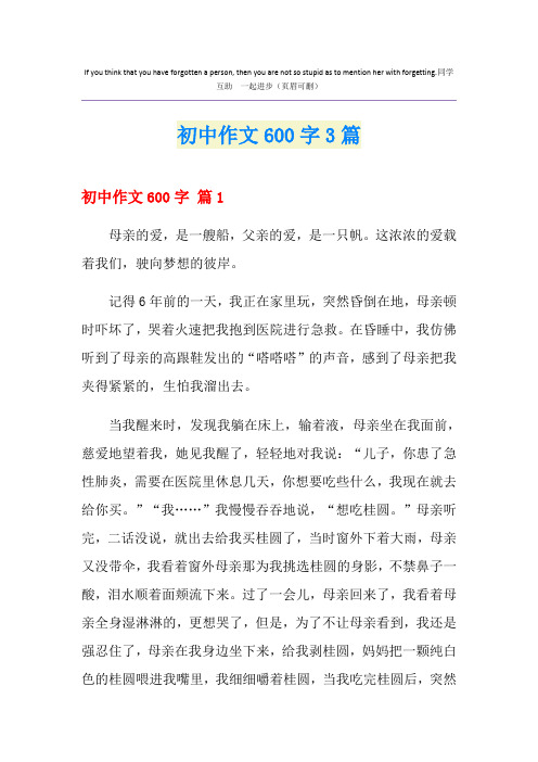 初中作文600字3篇