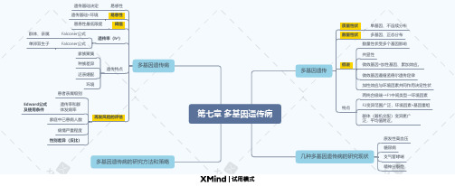 多基因遗传病思维导图