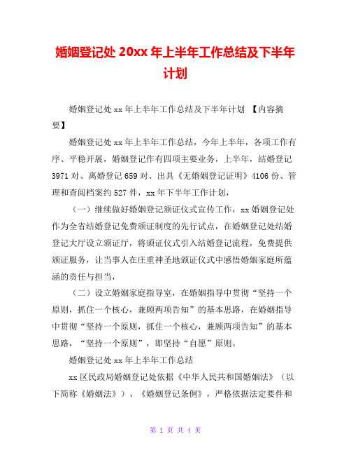 婚姻登记处20xx年上半年工作总结及下半年计划