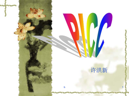 《PICC的护理》PPT课件