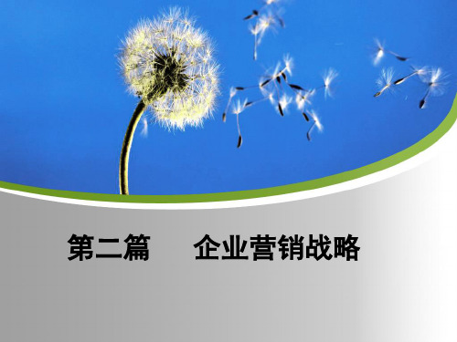 企业营销战略讲义课件(ppt 74页)