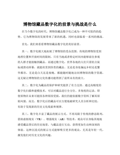 博物馆藏品数字化的前景与挑战是什么