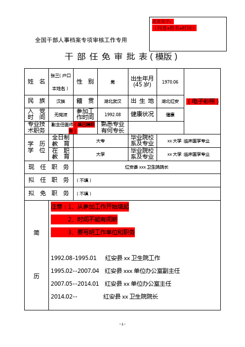 全国干部人事档案专项审核工作专用干部任免审批表模板