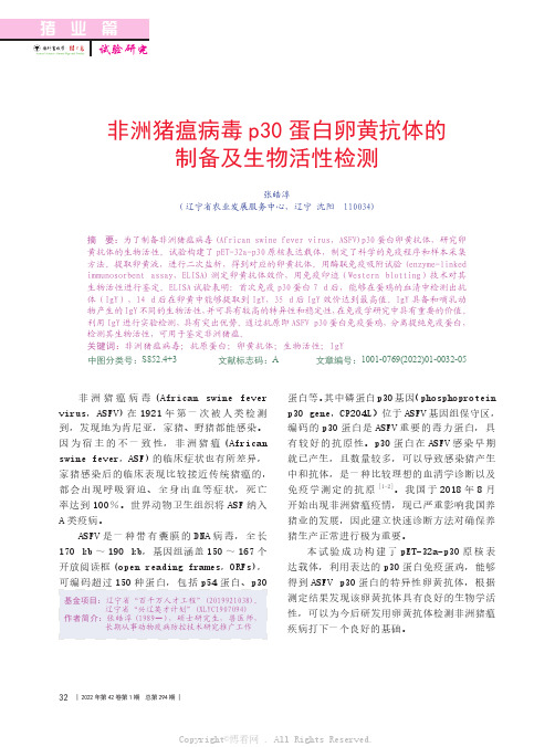 非洲猪瘟病毒p30蛋白卵黄抗体的制备及生物活性检测