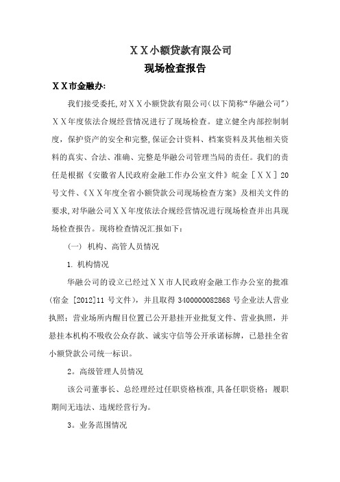 小额贷款公司现场检查报告