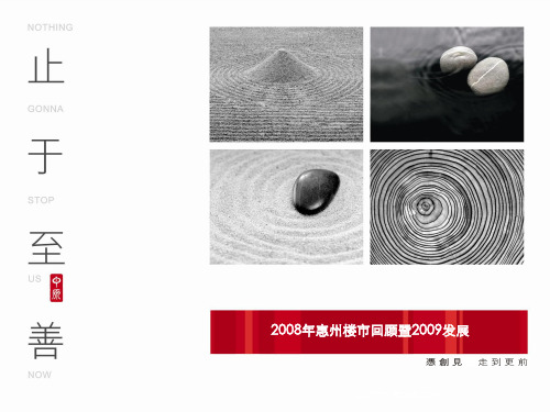 2008年惠州房地产楼市回顾暨2009发展报告-97PPT-中原