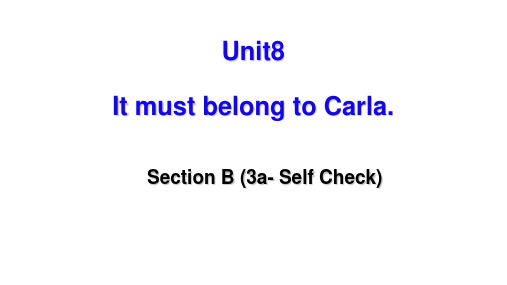 人教九年级Unit8 Section B(3a-Self Check)