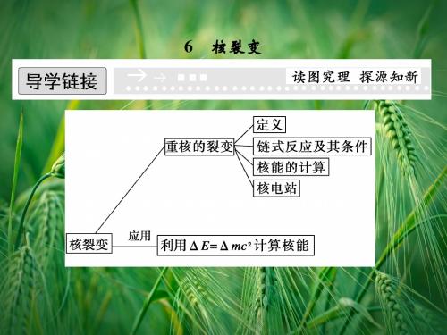 19.6 核裂变课件1 新人教版选修3-5课件