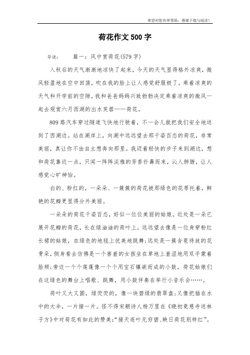 荷花作文500字_1