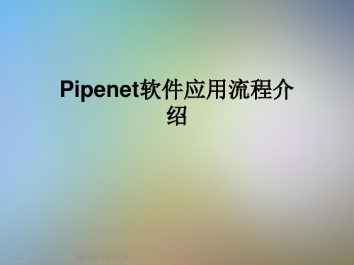 Pipenet软件应用流程介绍