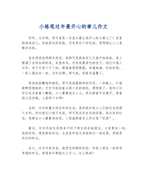 小练笔过年最开心的事儿作文