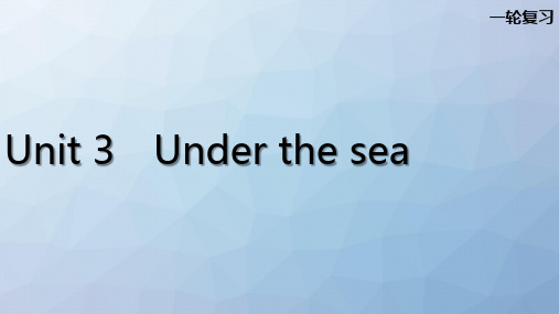 高三英语一轮复习优质课件8：Unit 3 Under the sea