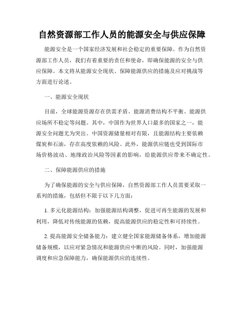 自然资源部工作人员的能源安全与供应保障