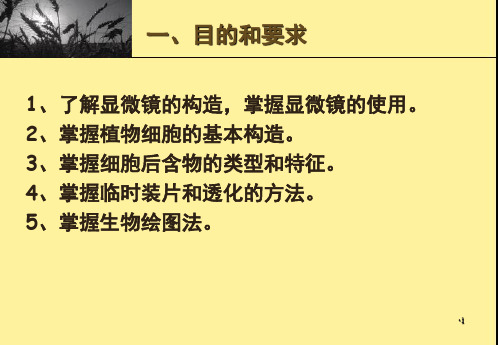 实验一显微镜的构造和植物细胞及后含物PPT课件