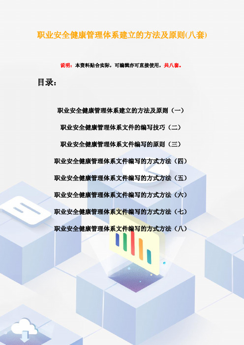 职业安全健康管理体系建立的方法及原则(八套)