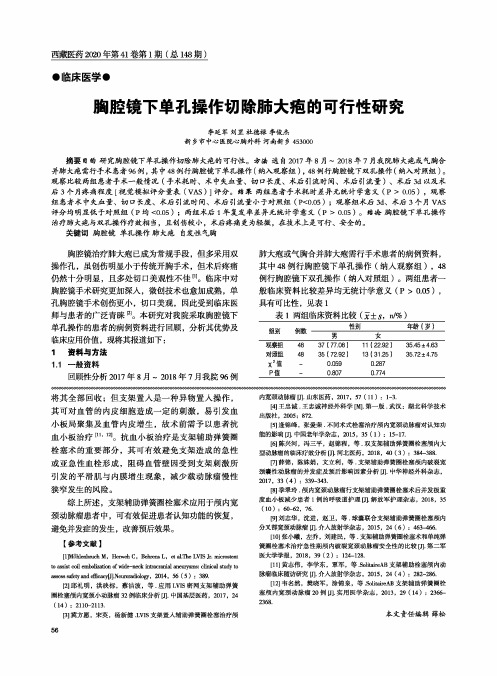 胸腔镜下单孔操作切除肺大疱的可行性研究